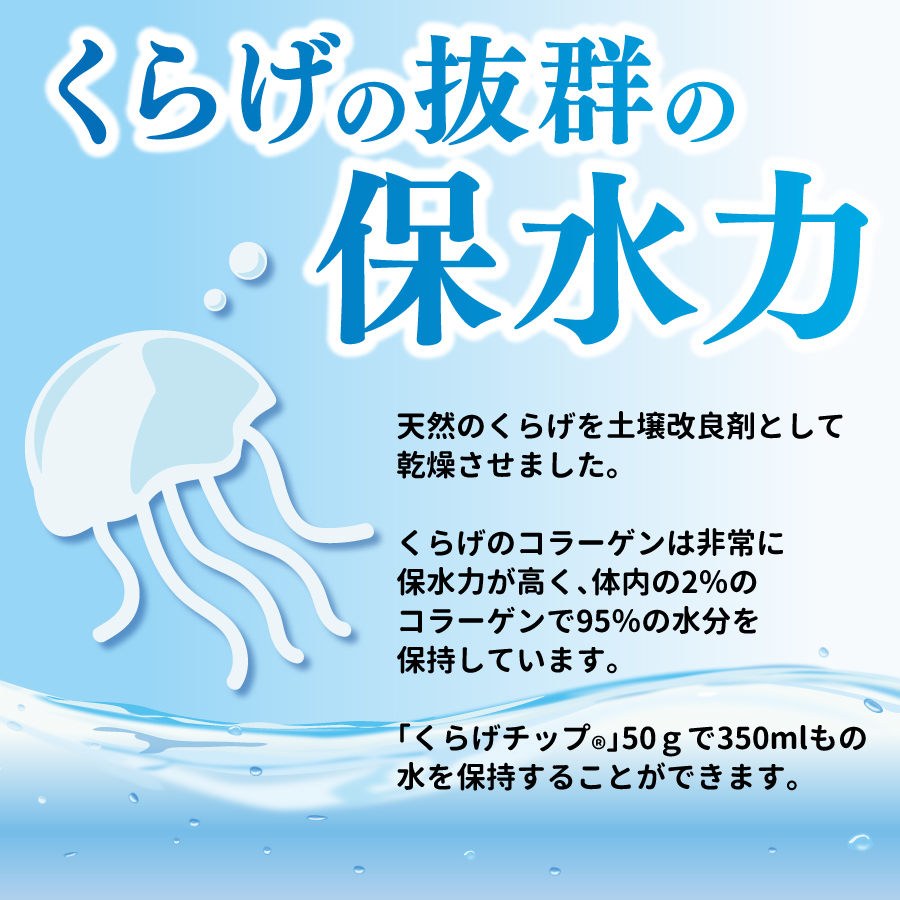 商品詳細】くらげチップ15g（×5袋セット）（非在庫）｜マルトモ公式直販
